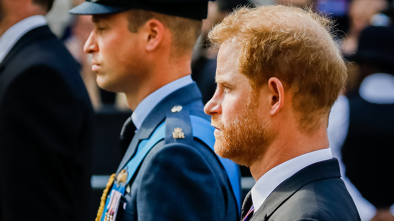 Prince Harry and William