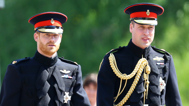 Prince Harry and Prince William