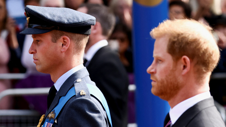 Prince William and Prince Harry