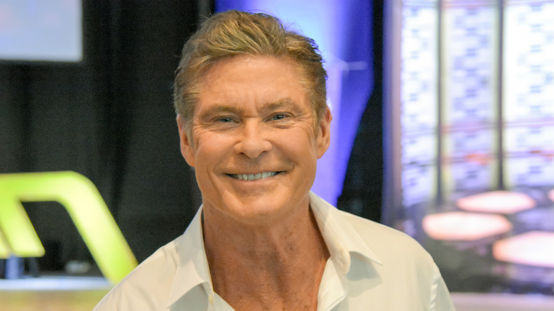 David Hasselhoff