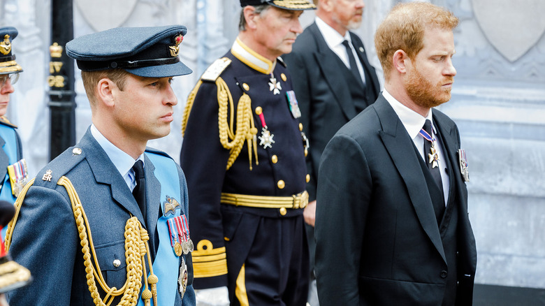 Prince William and Prince Harry at Queen's funeral