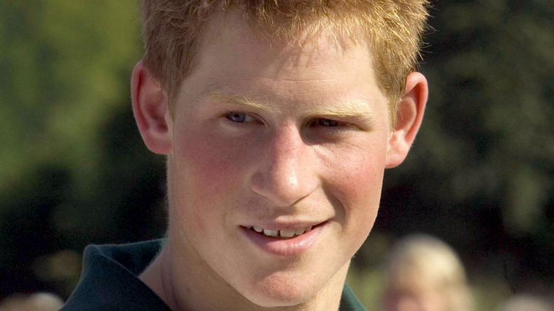 A young Prince Harry outdoors