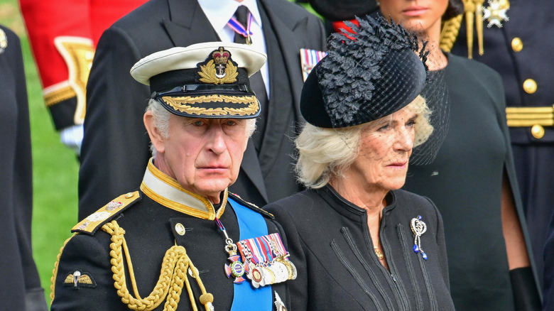 King Charles and Camilla observe queen's coffin