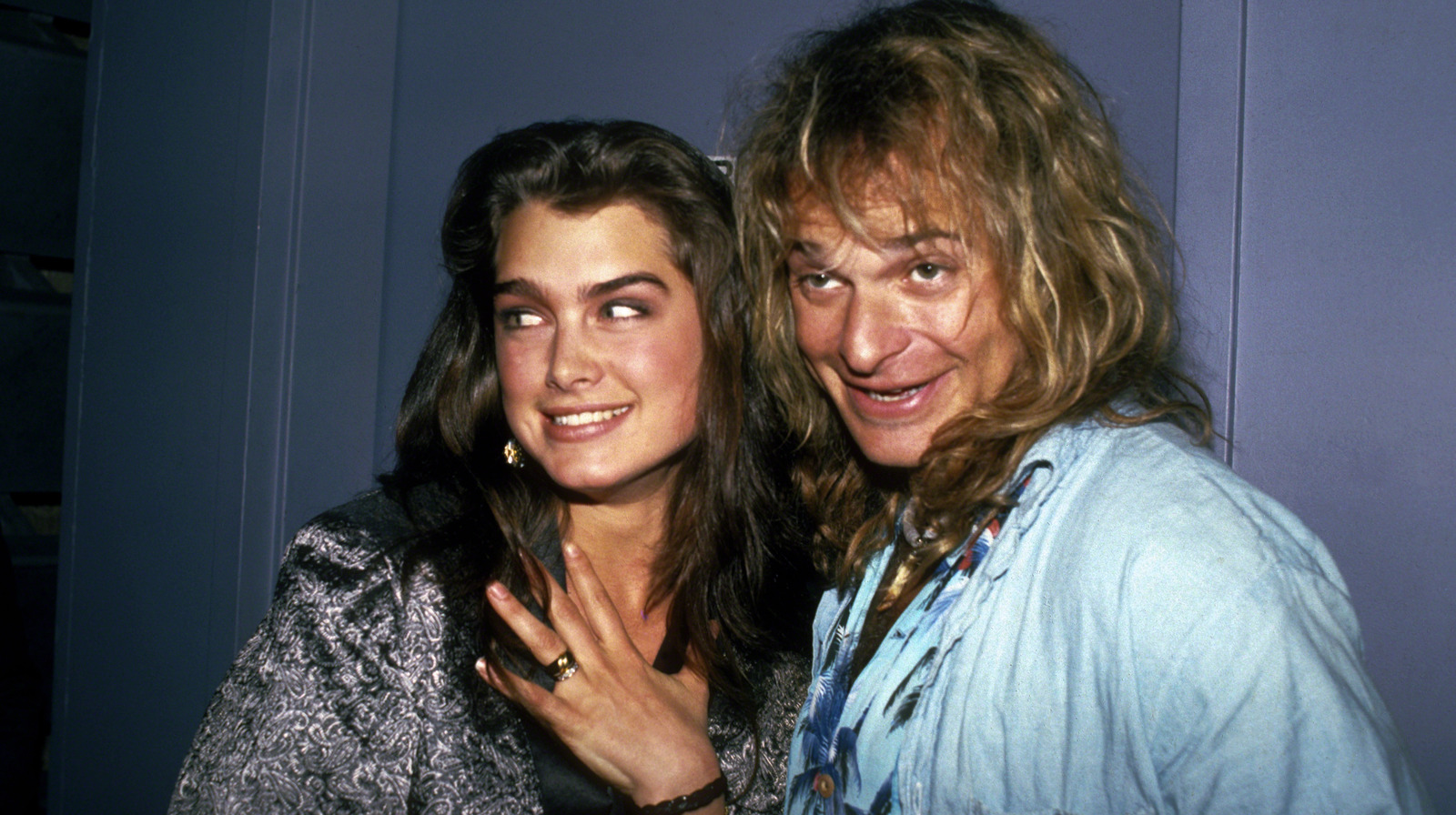 A Look Back At Van Halen Singer David Lee Roth's Whirlwind Fling With ...