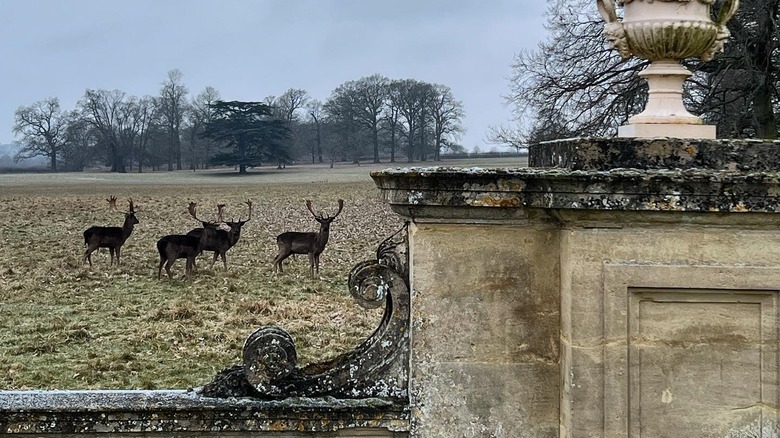 external pictures of althorp house