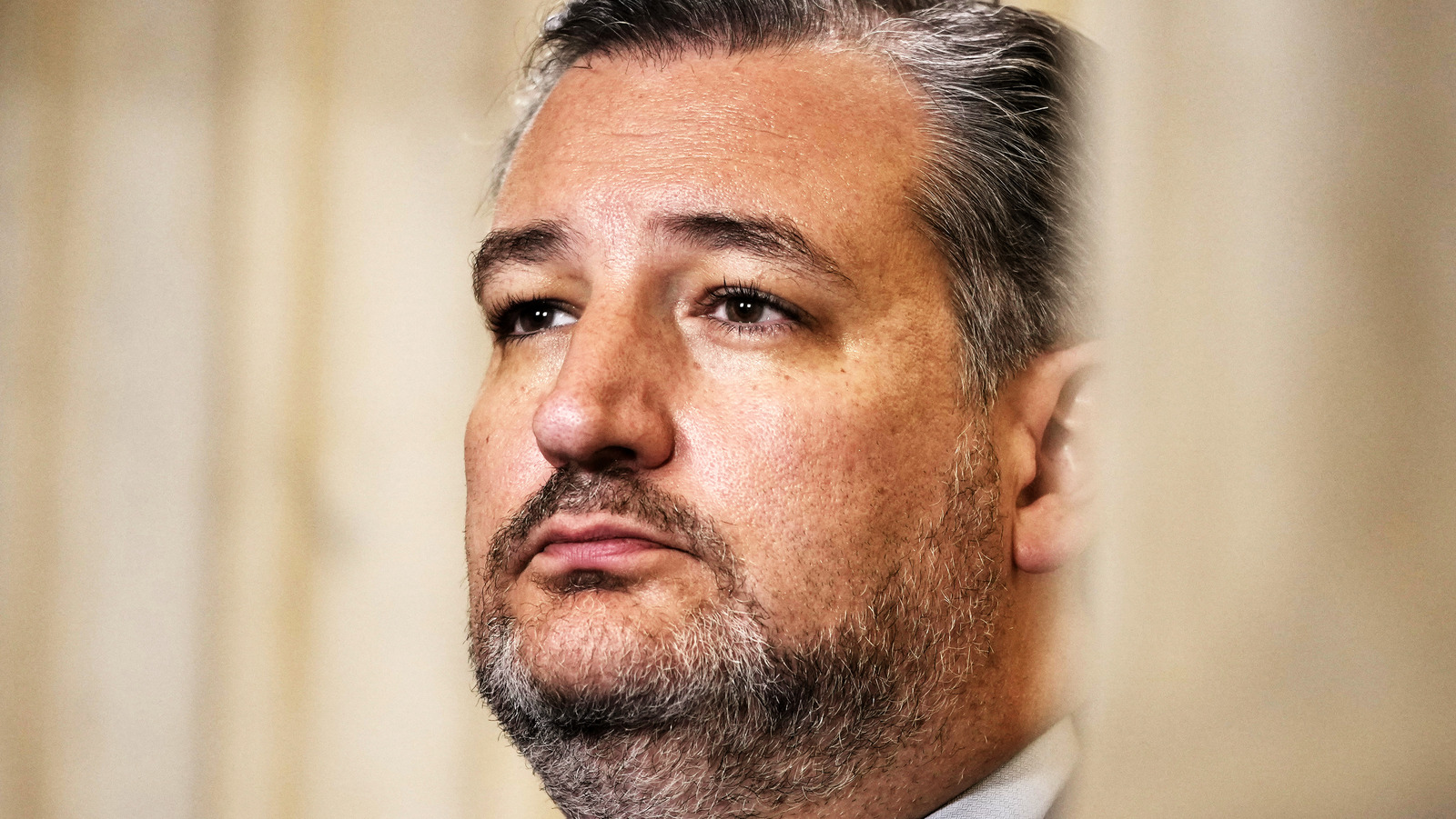 A Resurfaced Clip Of Ted Cruz Versus A Fly Has The Internet Buzzing