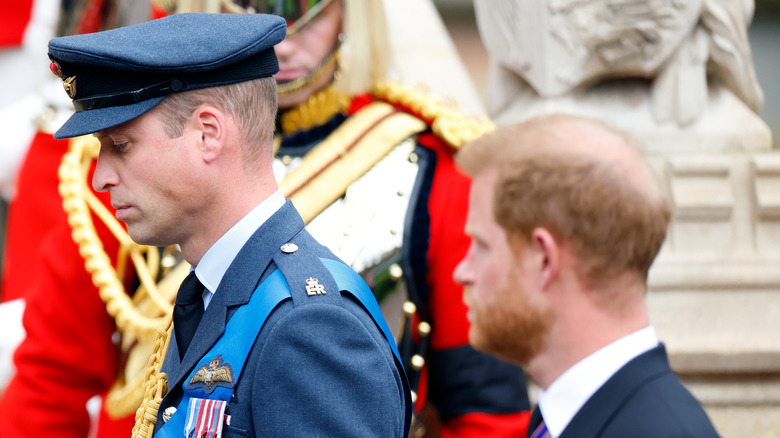 Prince William, Prince Harry