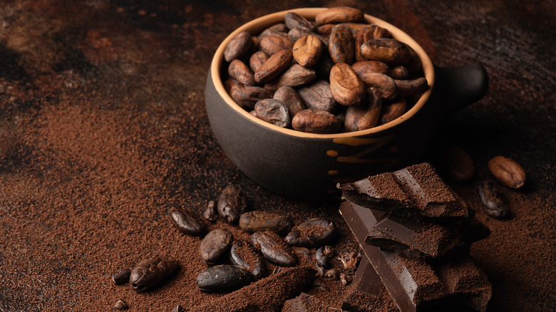 A bowl of cacao and dark chocolate pieces