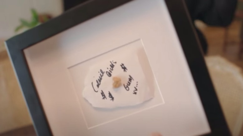 a piece of Celine Dion's chewed gum framed 