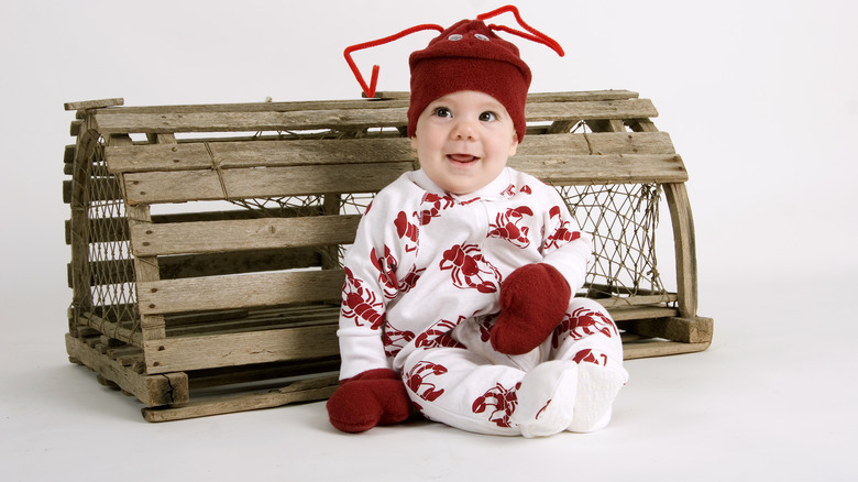 Cute baby in lobster costume