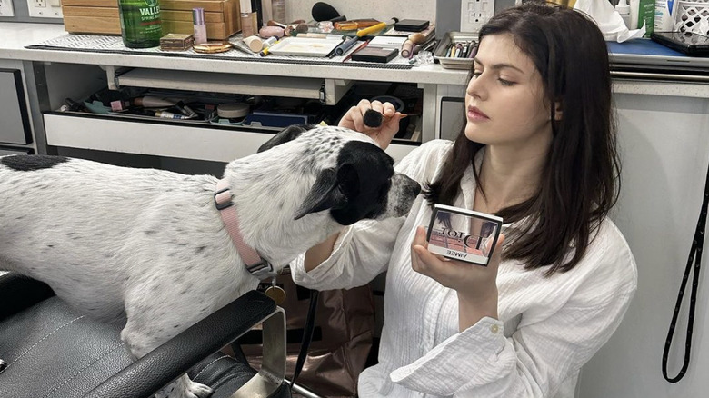 Alexandra Daddario puts Dior makeup on her dog