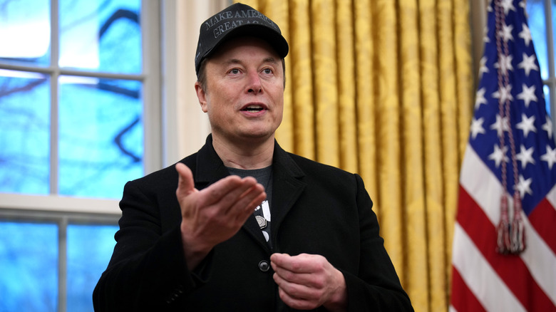 Elon Musk talking in the Oval Office