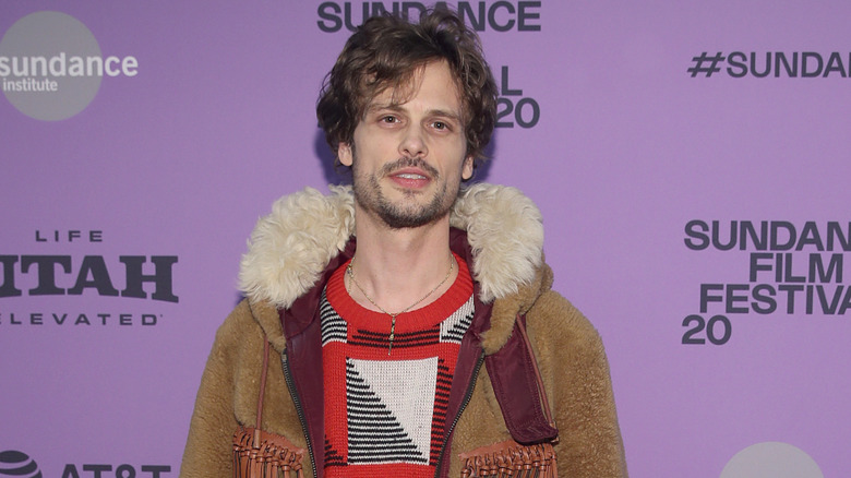 Matthew Gray Gubler smiling