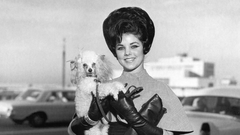 Priscilla Beaulieu with a bouffant updo