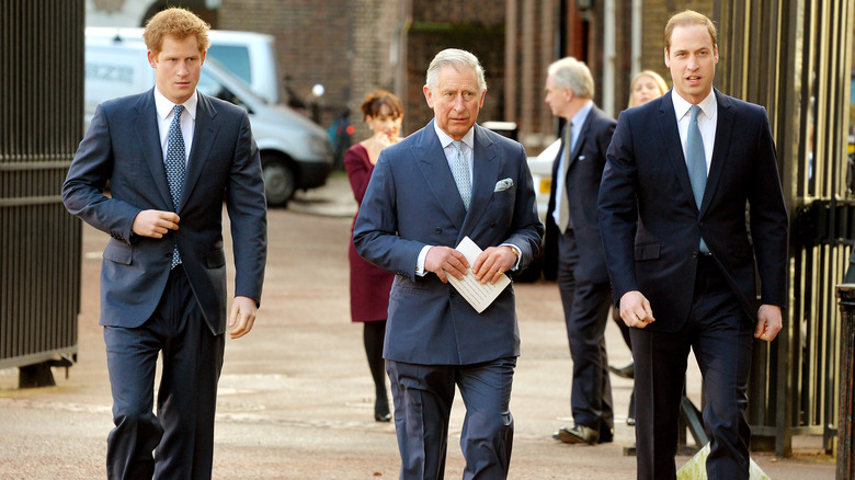 Harry, Charles and William walking in 2014 