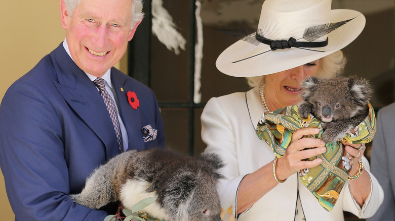 Charles and Camilla holding koalas 