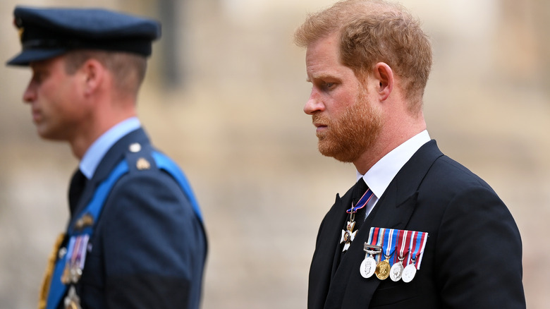 Prince Harry and Prince William at the queen's funeral