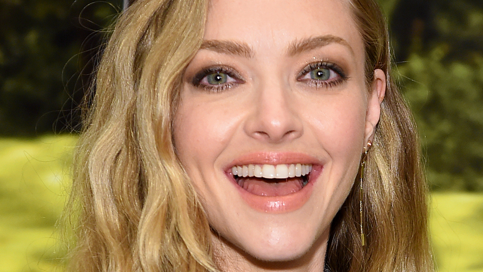 Amanda Seyfrieds Golden Globes Outfit Has More Meaning Than You Realize 