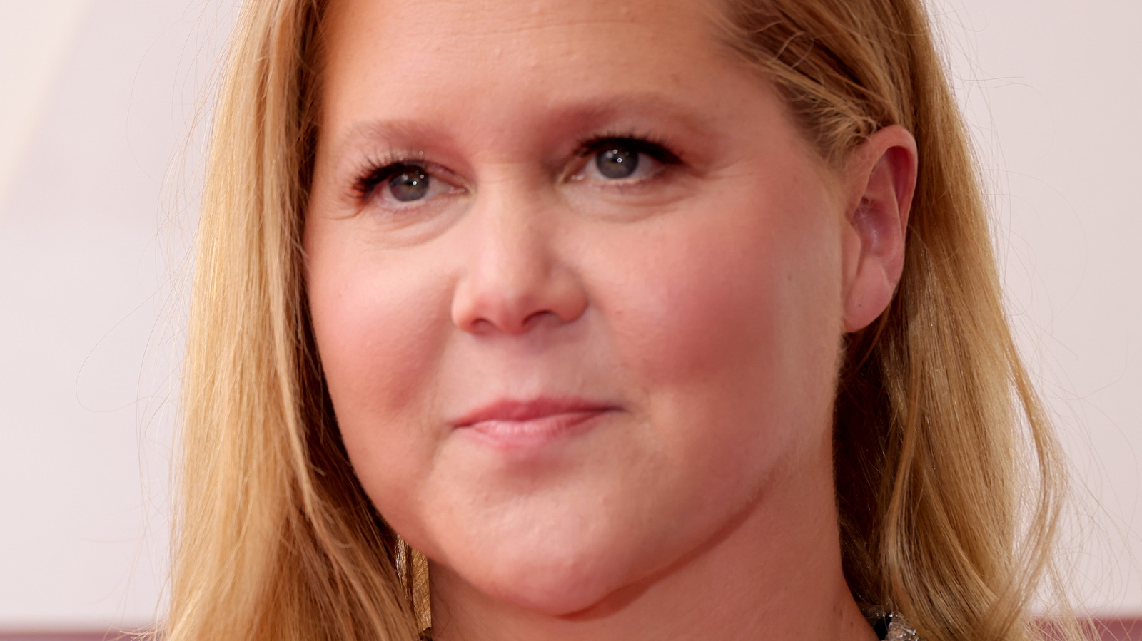 Amy Schumer Pokes Fun At Hollywood Elite In Oscars Monologue