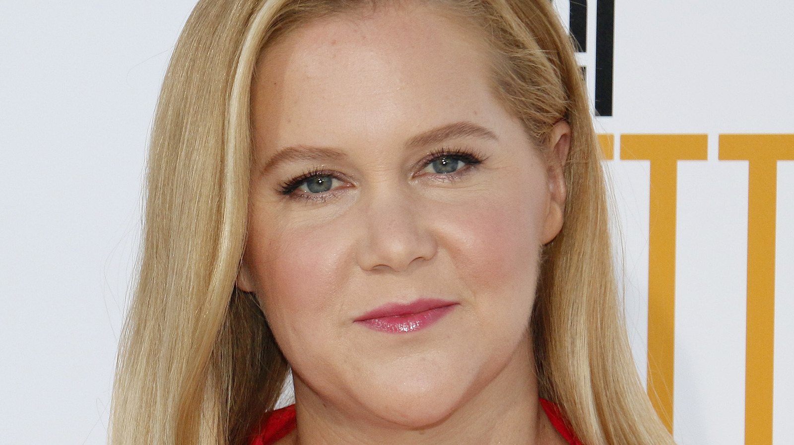 Amy Schumer's Net Worth May Surprise You