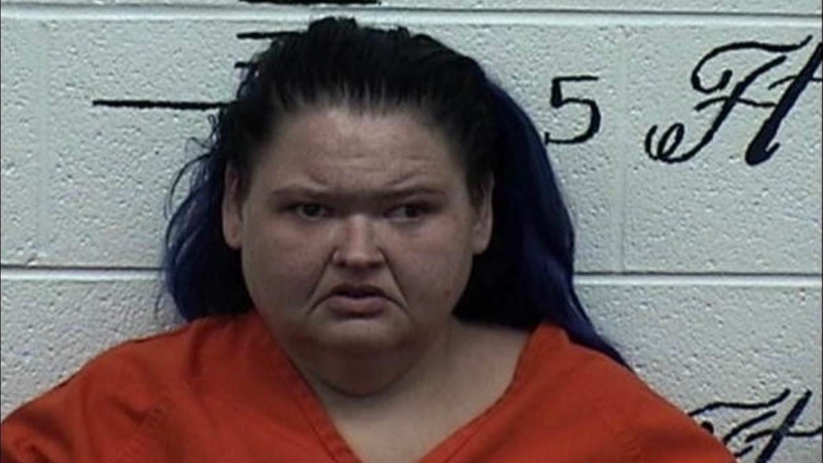 Amy Slaton's Disturbing Arrest Highlights Tragic Turning Of Tables ...