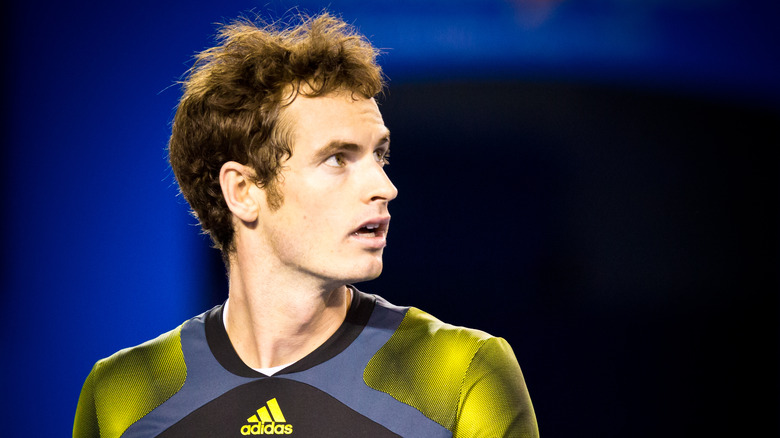 Andy Murray net worth 2023 - prize money, career winnings