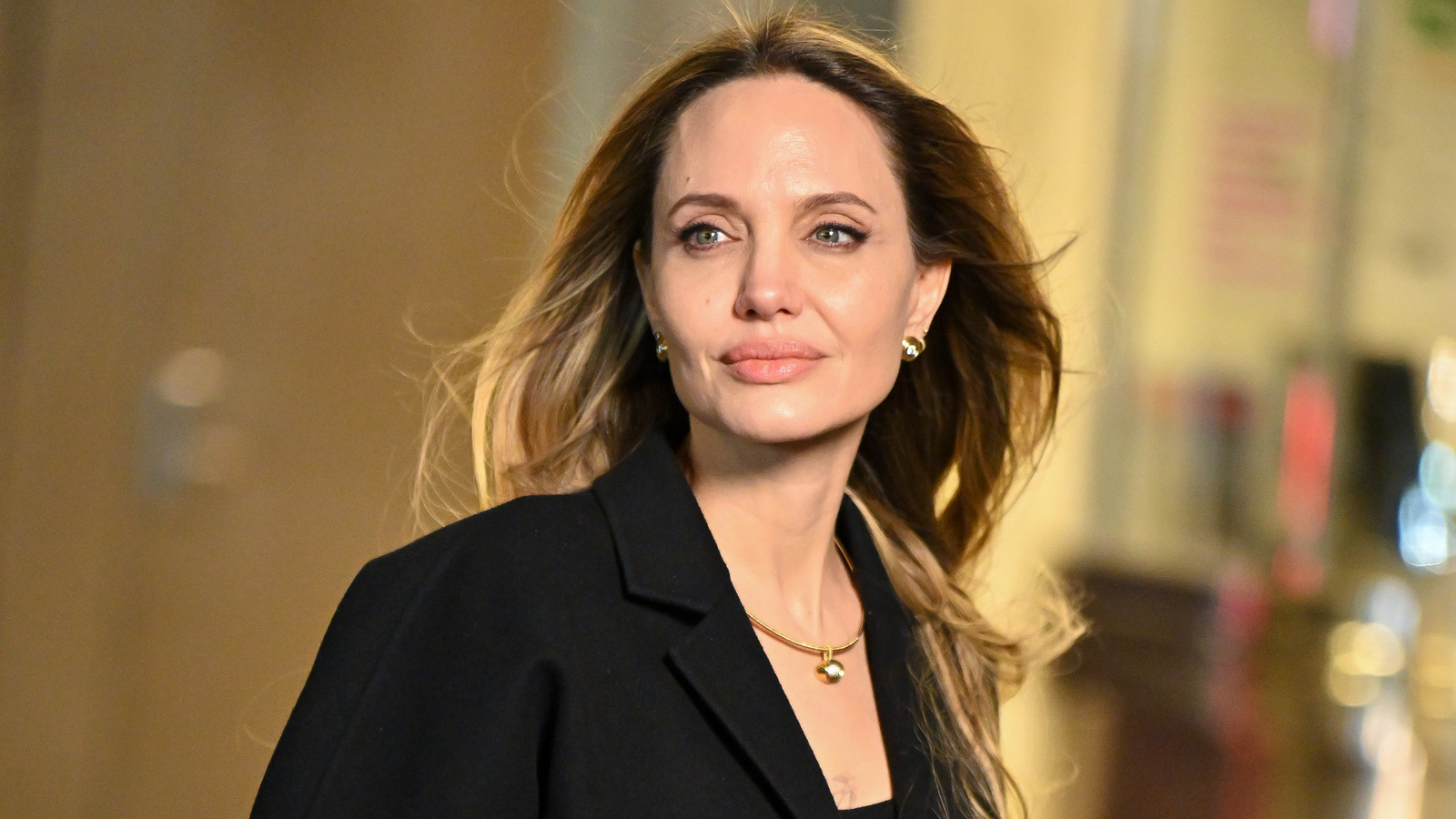 Angelina Jolie's Rare Candid Confession About Shiloh Doesn't Surprise Us The List