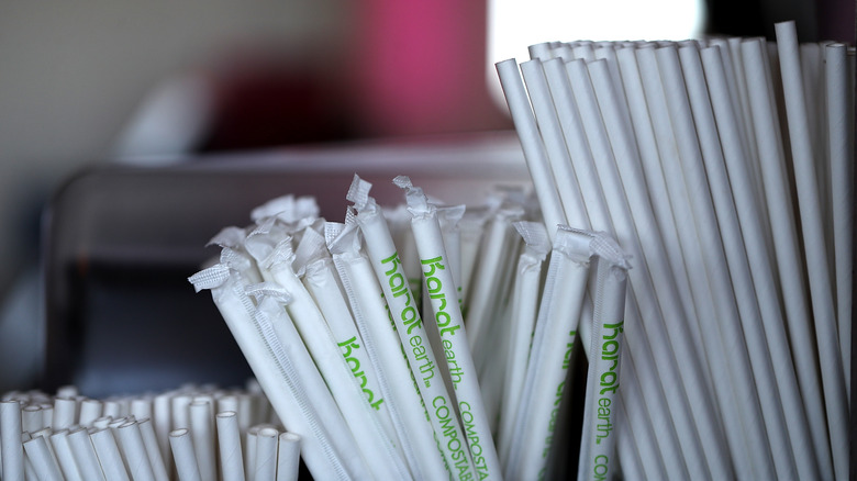 Cocktail Straws: The Pros and Cons of Different Straws