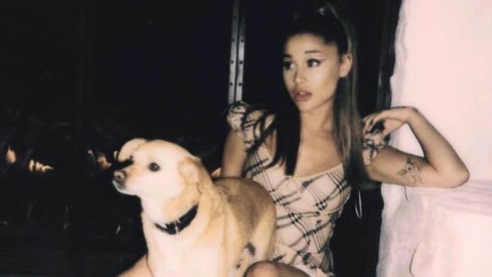 Ariana Grande posing with a dog