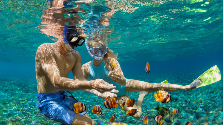 A man and woman snorkeling 