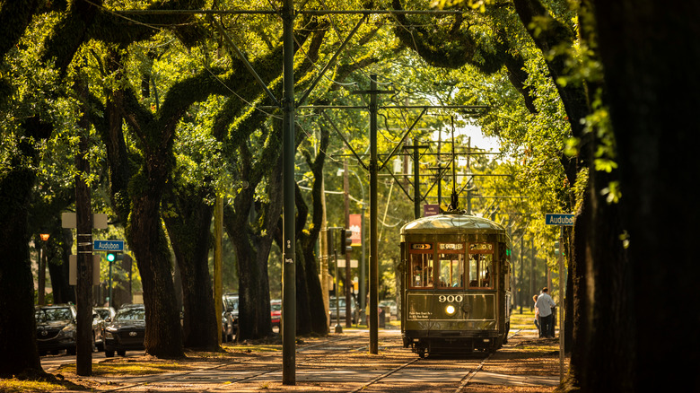 A streetcar in the Garden District 
