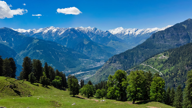 Green pasture and the Himalayas 