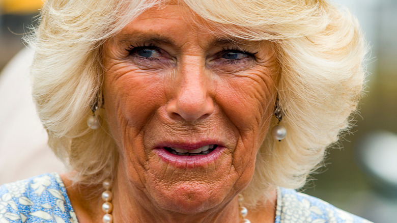 Awkward Camilla Parker Bowles Moments That Were Caught On Camera