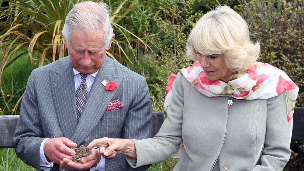 Prince Charles holding an animal