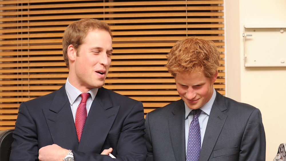 Prince William and Prince Harry talking