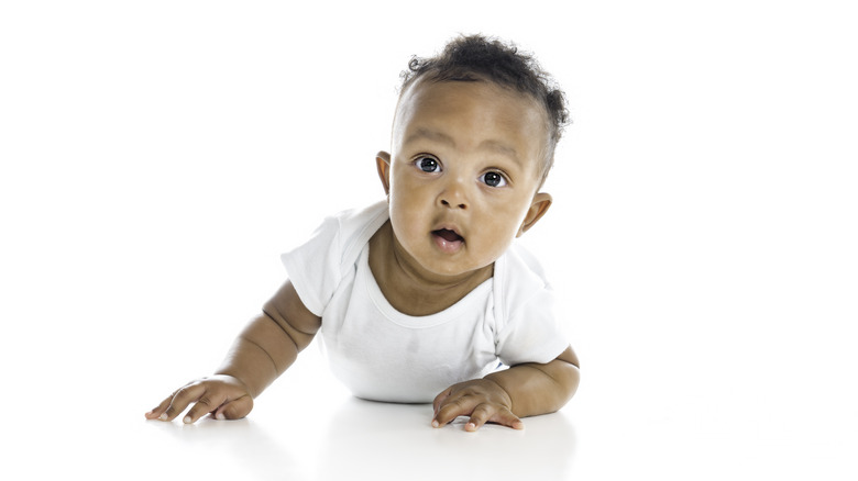 curious crawling baby 