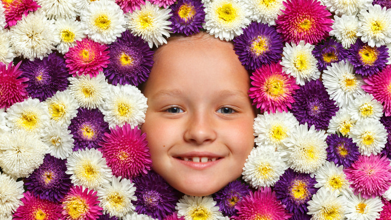 Little girl aster flowers