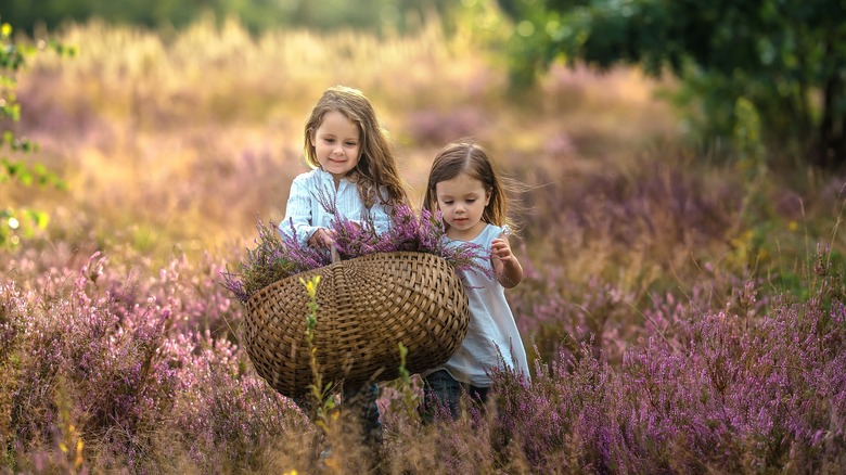 Little girls in heather