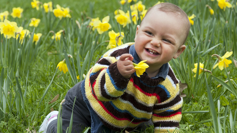 Baby crawling in daffodils