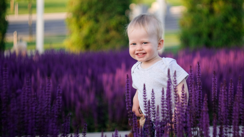 Baby in sage field