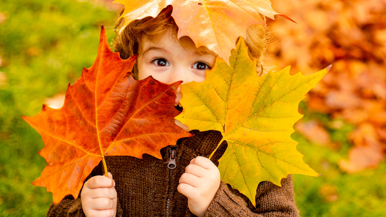 Toddler covered in leaves