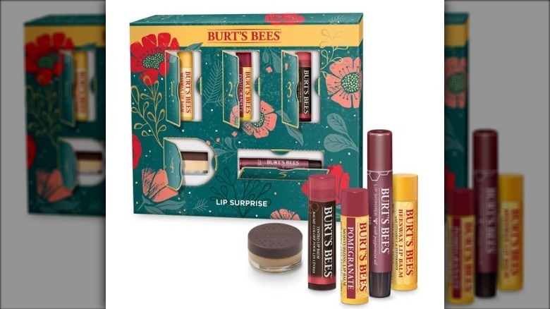 Burt's Bees Lip Kit