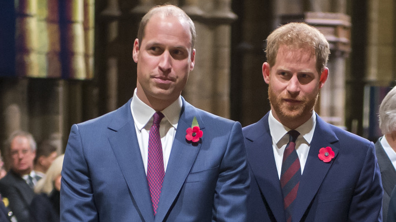 Prince William and Prince Harry