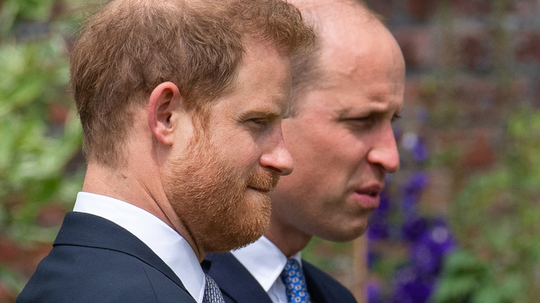 Prince Harry and Prince William