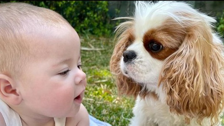 Grace Irwin Powell and a puppy