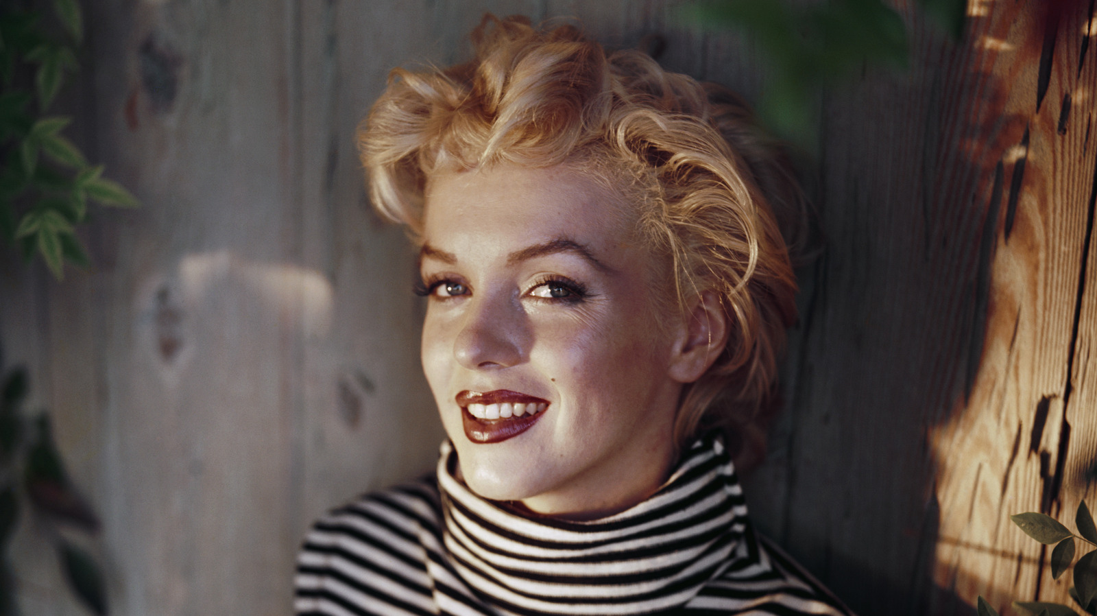 Bizarre Conspiracy Theories About Marilyn Monroe 4996