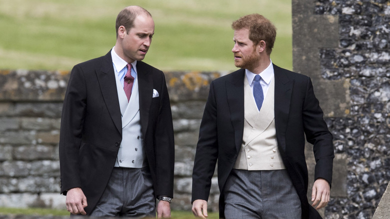 Prince William Prince Harry