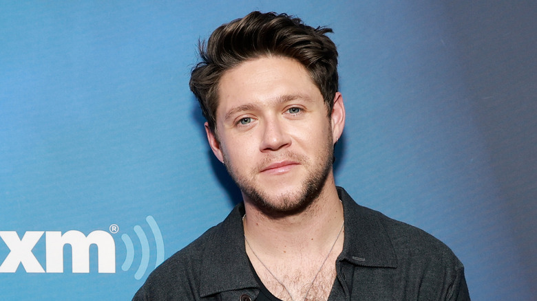 Blake Shelton And Niall Horan Developed An Off-Camera Friendship From ...