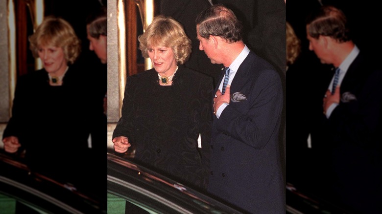 King Charles and Queen Camilla in 1990s