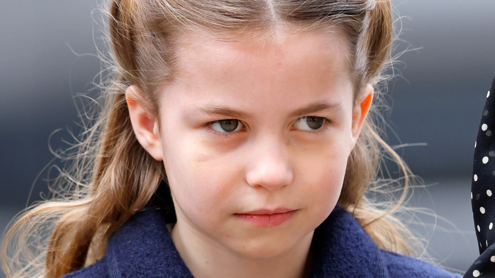 Body Language Expert Dives Into Princess Charlotte's Special Bond With ...